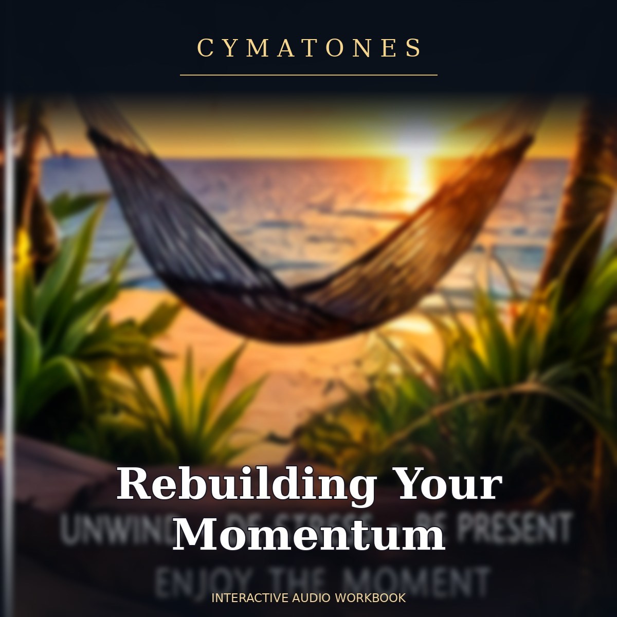 Rebuilding Your Momentum | Interactive Audio Workbook