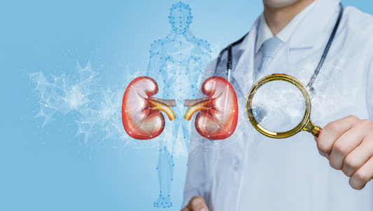 Revitalizing Kidney Wellness: TCM and Virtual Cymatic Therapy Unite