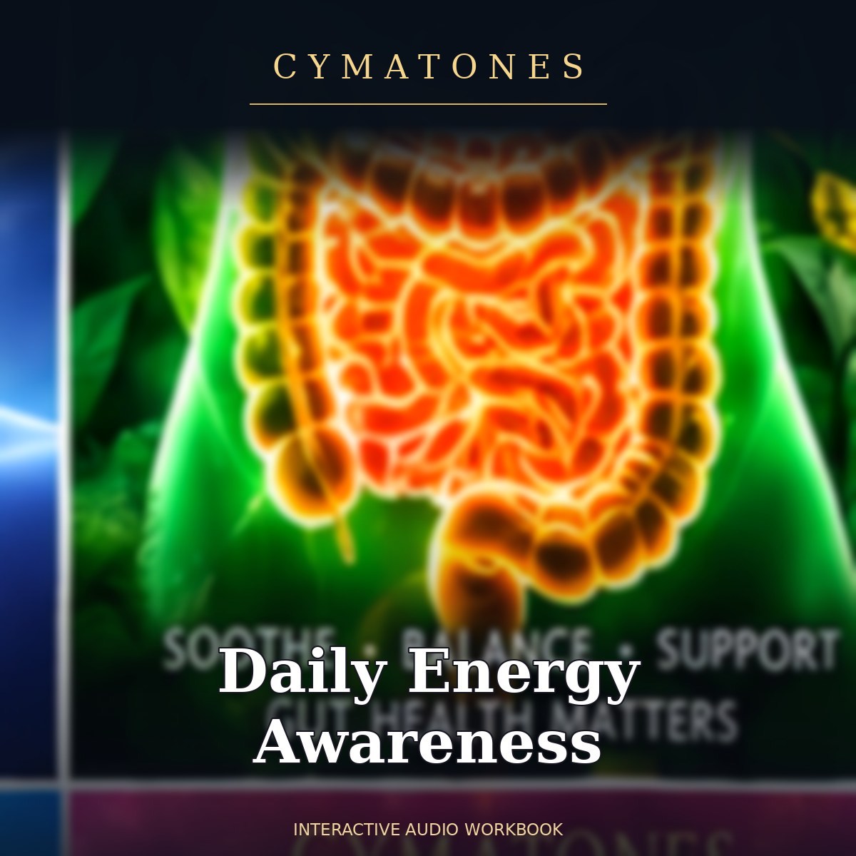 Daily Energy Awareness | Interactive Audio Workbook