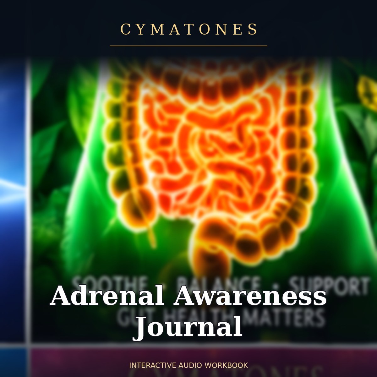 Adrenal Awareness Journal | Interactive Audio Workbook
