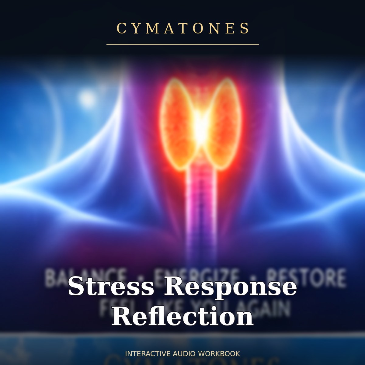 Stress Response Reflection | Interactive Audio Workbook