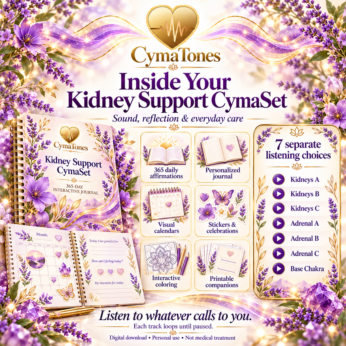 Kidney Support CymaSet | 7 Audio Tracks & 365-Day Interactive Wellness Journal